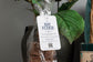 The Coastal Indulgence Hamper